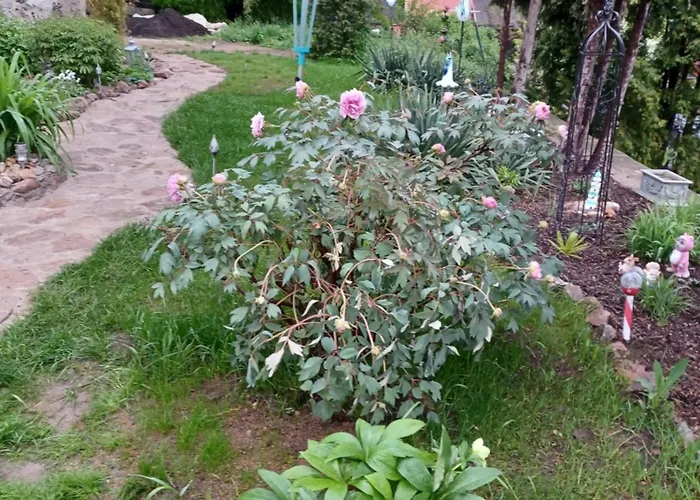 公寓 Stadtvilla Nichterlein - Nr 3 *